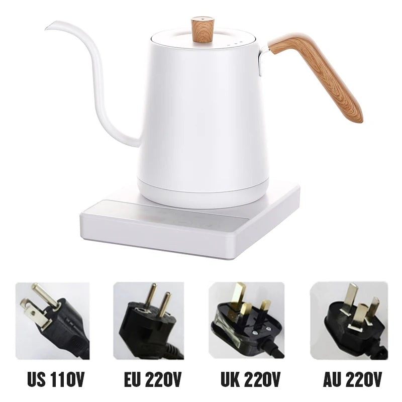Gooseneck Electric Kettle with Temperature Control
