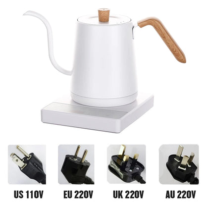 Gooseneck Electric Kettle with Temperature Control