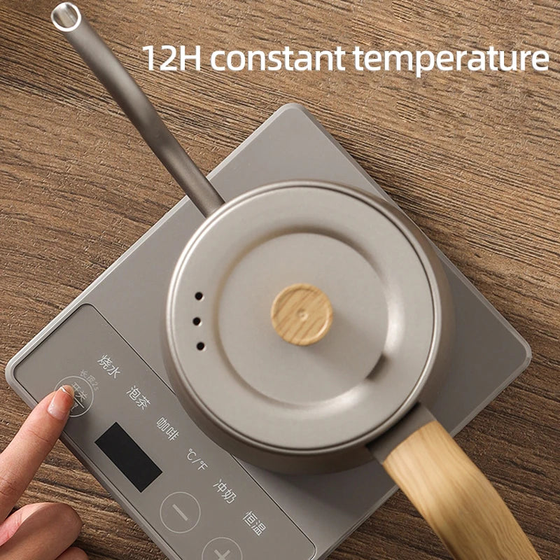 Gooseneck Electric Kettle with Temperature Control