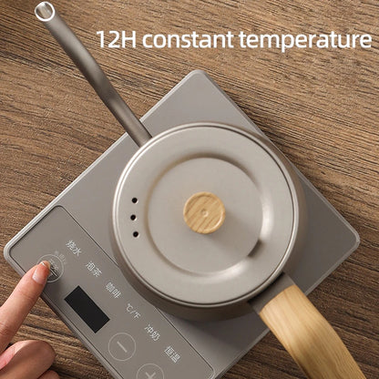 Gooseneck Electric Kettle with Temperature Control