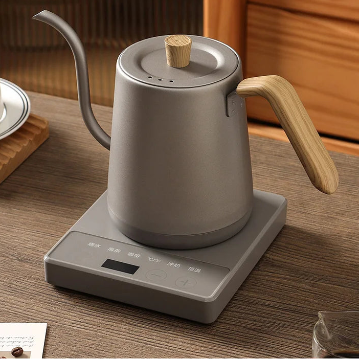Gooseneck Electric Kettle with Temperature Control