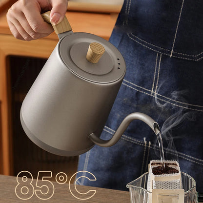 Gooseneck Electric Kettle with Temperature Control