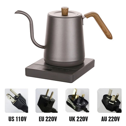 Gooseneck Electric Kettle with Temperature Control