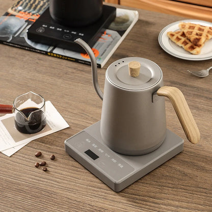Gooseneck Electric Kettle with Temperature Control