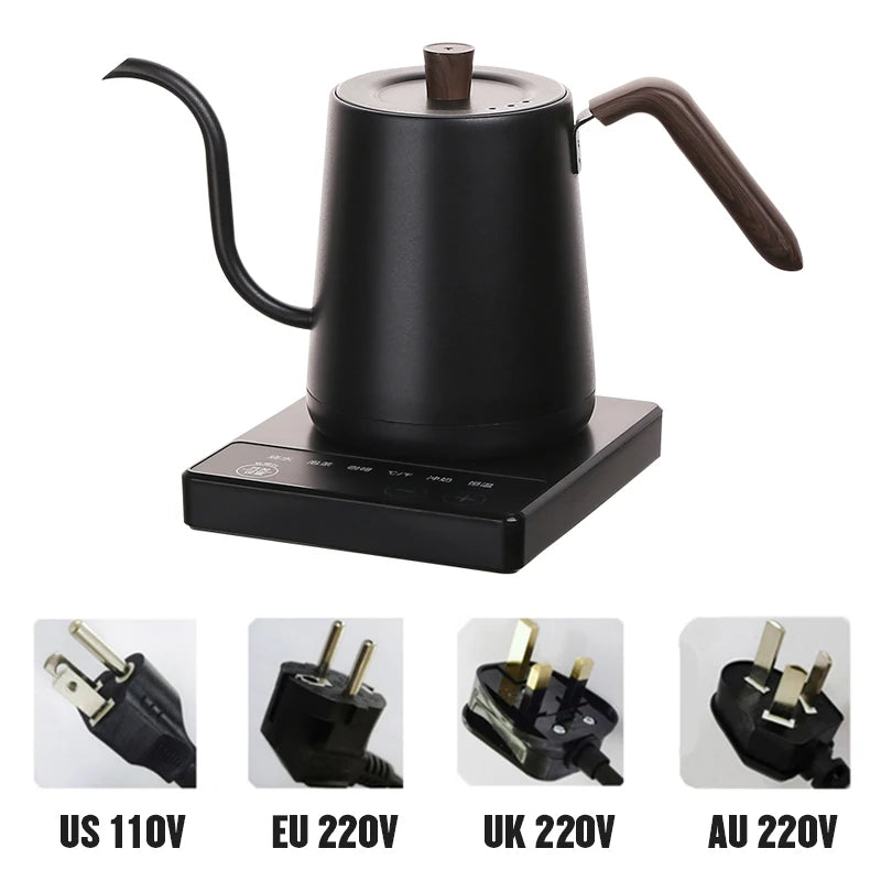 Gooseneck Electric Kettle with Temperature Control
